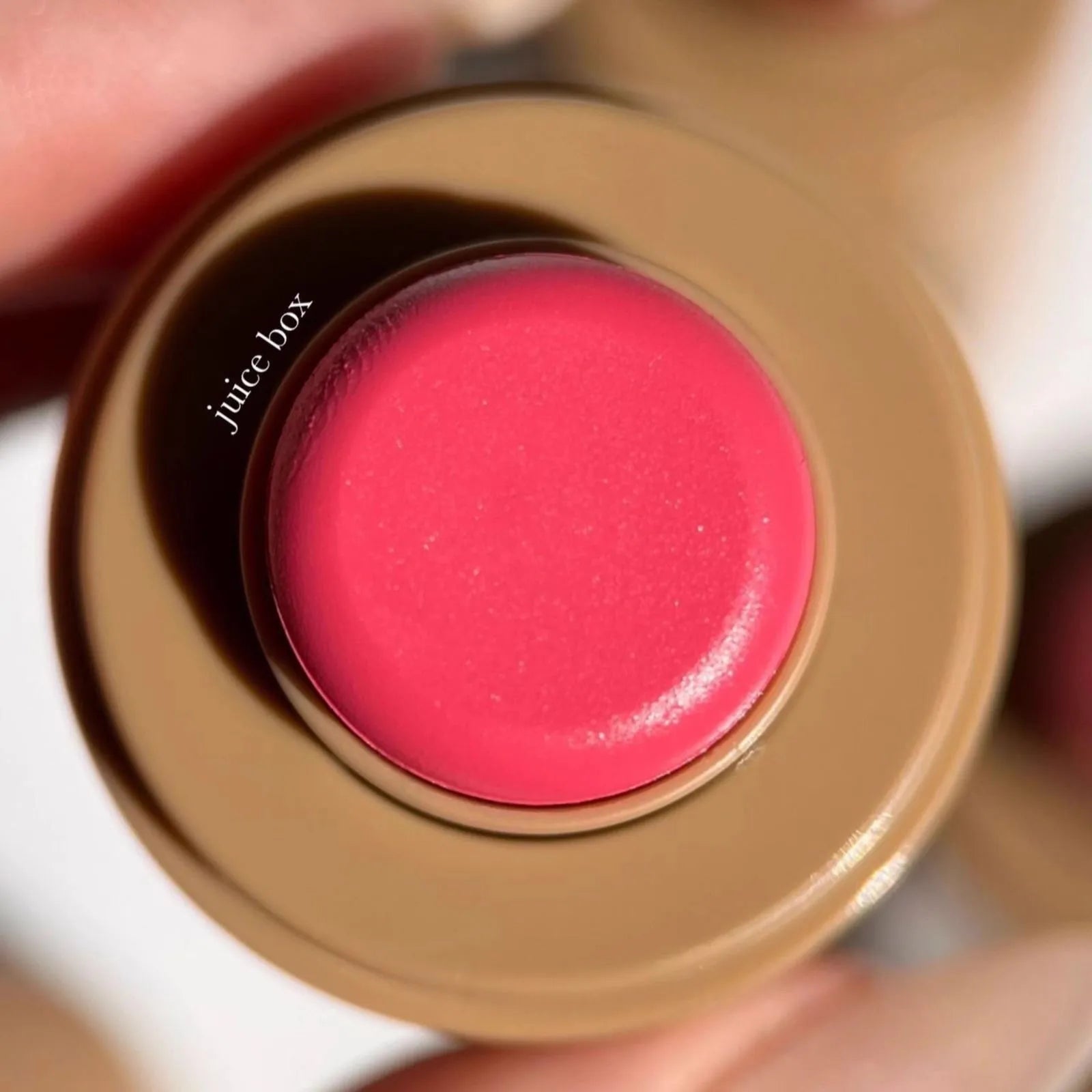 2025 Hot Glazing Milk Facial Pineapple Refresh Daily Cleanser Lemontini Lip Gloss Lasting Moisturizing Lipstick Blusher Makeup